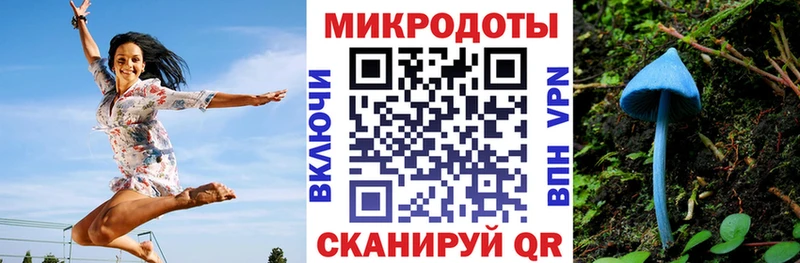 Купить  Макаров  Псилоцибиновые грибы ЛСД 